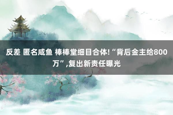 反差 匿名咸鱼 棒棒堂细目合体!“背后金主给800万”，复出新责任曝光