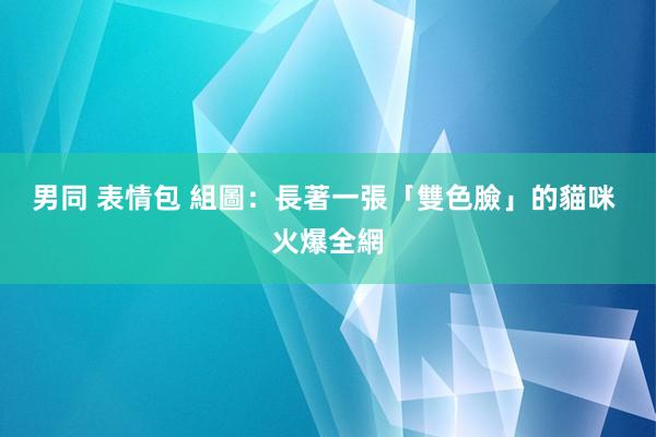 男同 表情包 組圖：長著一張「雙色臉」的貓咪 火爆全網