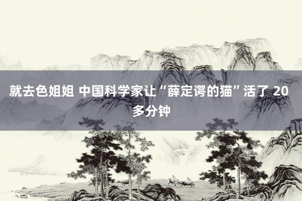 就去色姐姐 中国科学家让“薛定谔的猫”活了 20 多分钟