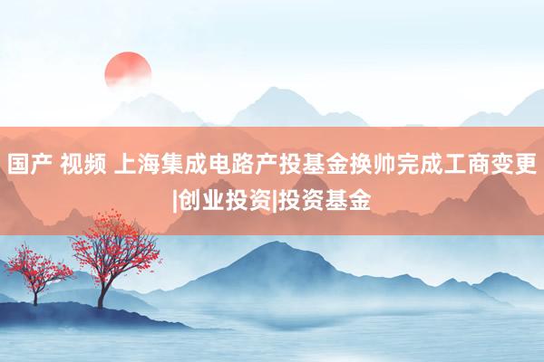 国产 视频 上海集成电路产投基金换帅完成工商变更|创业投资|投资基金